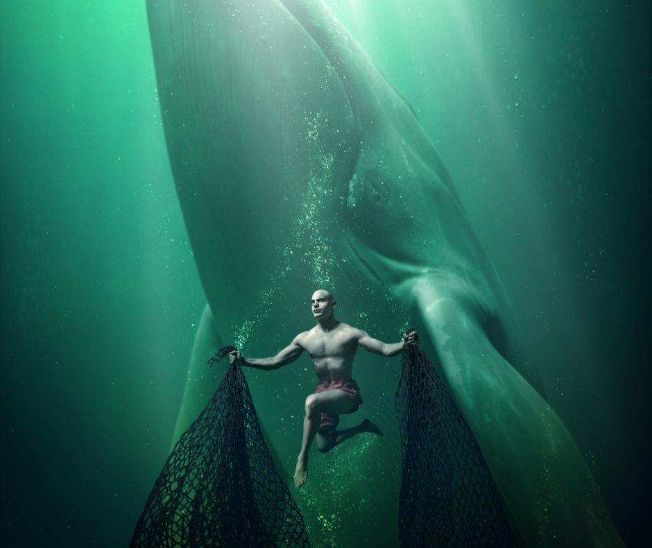 Sedna